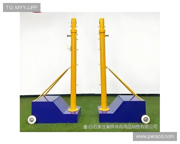 武汉网球队整体压制策略解析及其对网球发展的深远影响