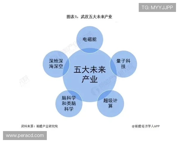 武汉足球队技术分析与战术创新的深度探讨与展望