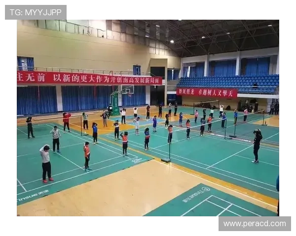 武汉羽毛球队在联赛中的比赛经验与表现分析及未来展望