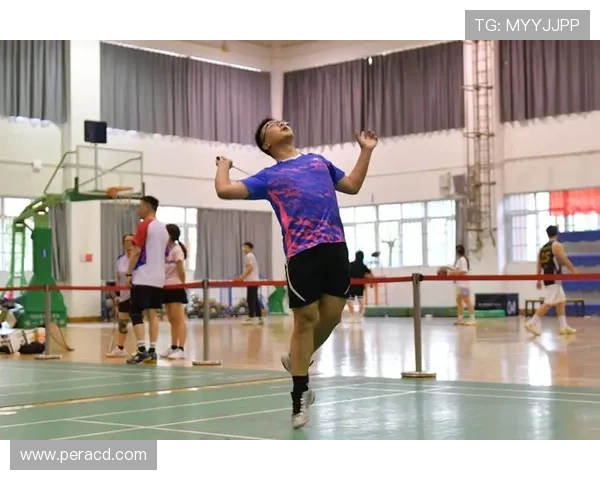 西安羽毛球队的精神风貌与发展历程探讨