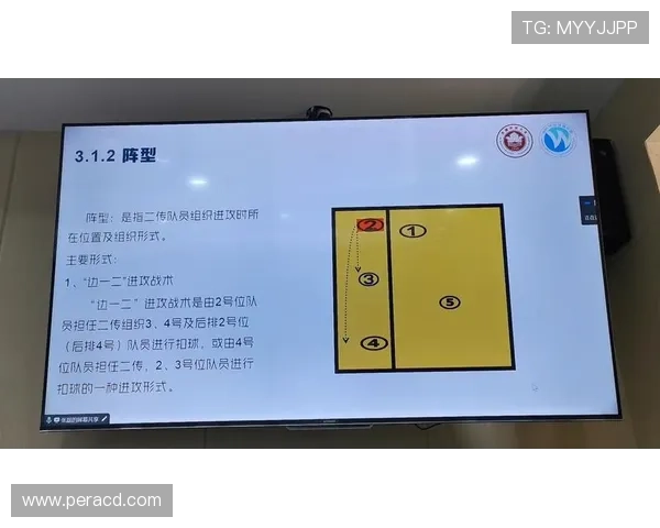 杭州排球队区域防守策略解析与深度剖析排球战术的成功秘诀