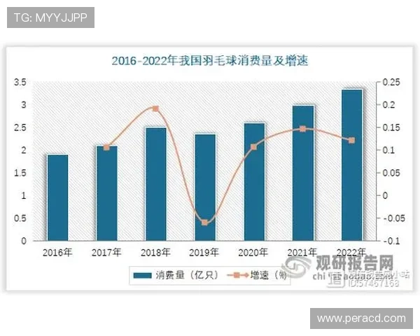 深圳羽毛球队比赛经验深度对比及其对未来发展的影响分析