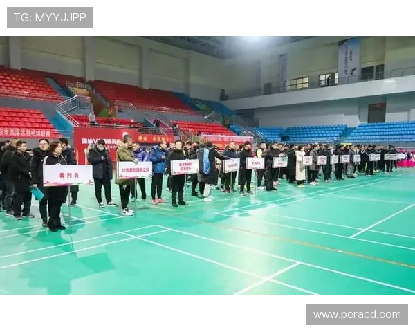 南京羽毛球队引领最新羽毛球意识TOP10榜单创新风潮