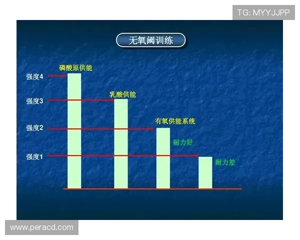 重庆羽毛球队反击战术深度解析与发展前景探讨