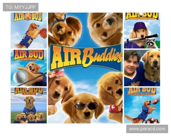 哈士奇足球明星的名字揭秘一起了解这只运动天才的故事