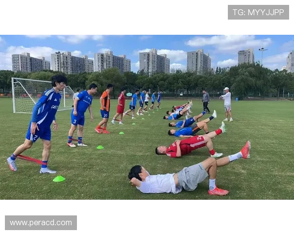 上海足球队转型之路：从传统强队到现代化俱乐部的全新探索